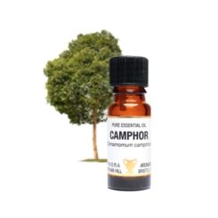 Eteerinen öljy Kamferi - Camphor 10 ml-0